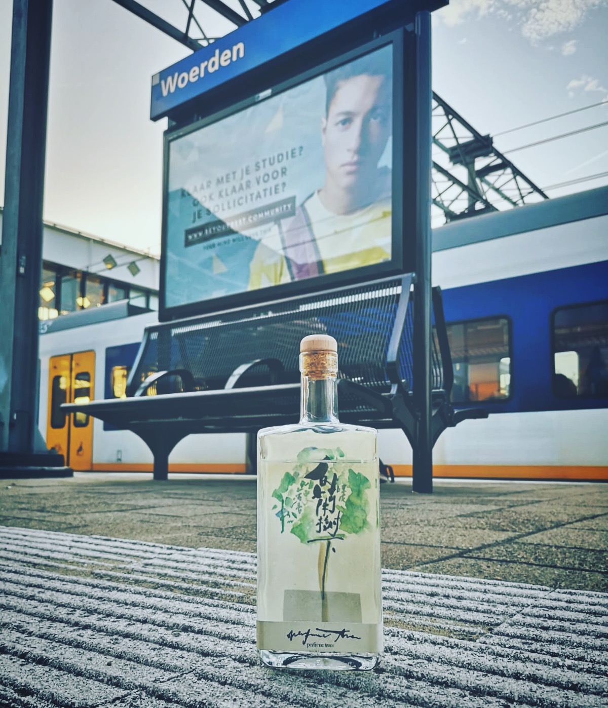 30f0be48-a604-4172-8edc-70412cfcf5c7